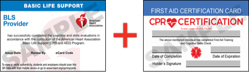 Sample American Heart Association AHA BLS CPR Card Certificaiton and First Aid Certification Card from CPR Certification Kansas City