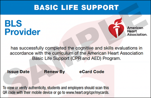 Sample American Heart Association AHA BLS CPR Card Certification from CPR Certification Kansas City