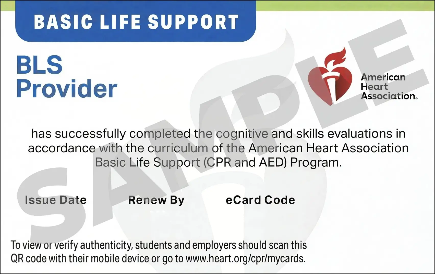 Sample American Heart Association AHA BLS CPR Card Certification from CPR Certification Kansas City
